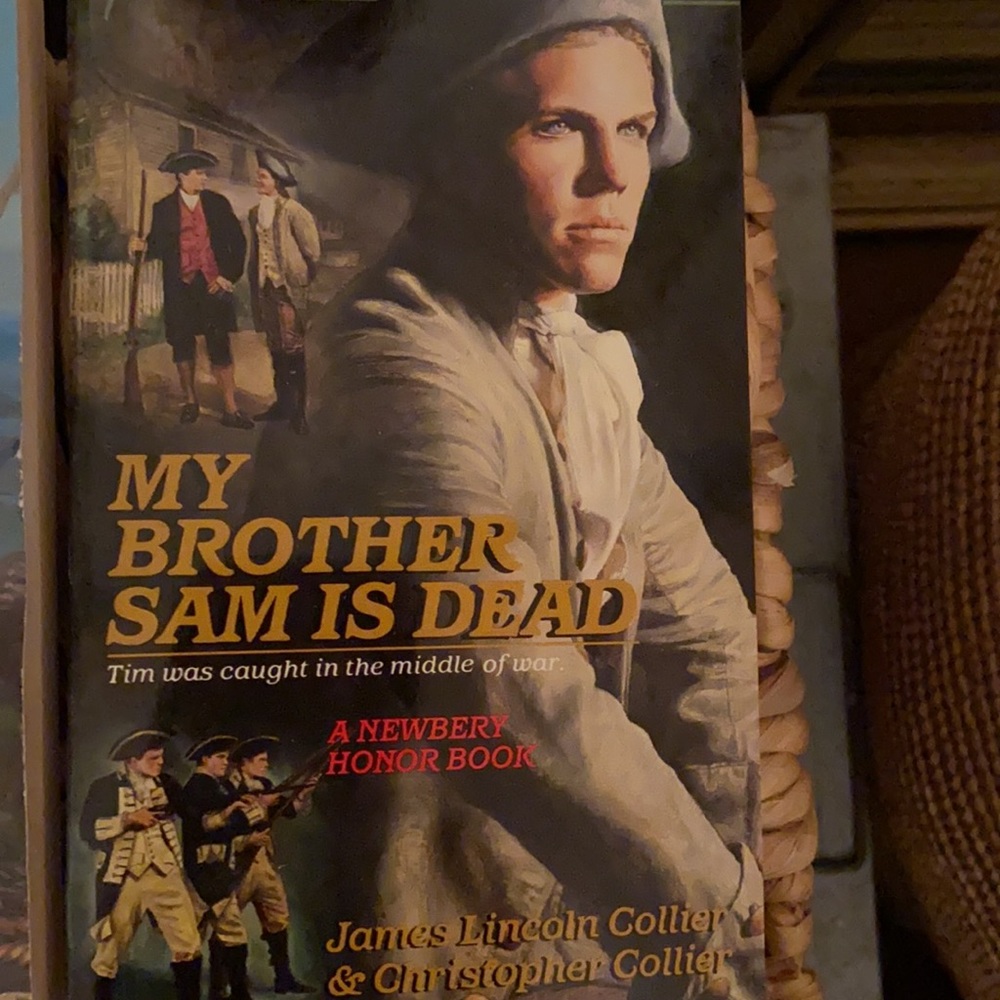 Newberry Award Winning 🏆 Young Readers Classics - Picture 8 of 9